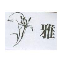 雅及圖 AYAGI