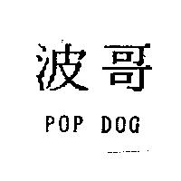 波哥 POP DOG