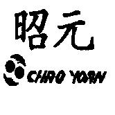 昭元及圖 Chao Yoan
