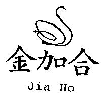 金加合 Jia Ho 及圖