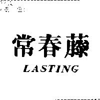 常春藤 LASTING