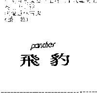 飛豹 panther