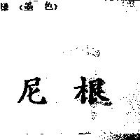 尼根
