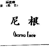 尼根 Charng Luen
