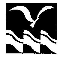 小鳥與海浪圖