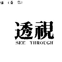 透視 SEE THROUGH