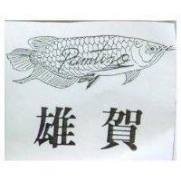 雄賀及圖 PAMTINO