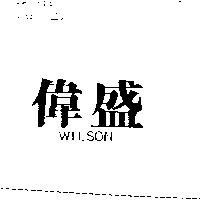 偉盛 WILSON