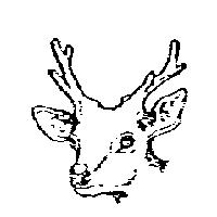 鹿頭圖