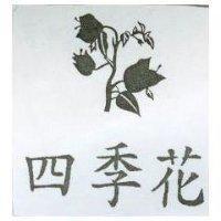 四季花及圖