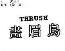 畫眉鳥 THRUSH