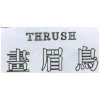 畫眉鳥 THRUSH