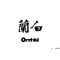 白蘭 Orchid