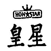 皇星及圖 HONSTAR