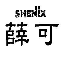 薛可及 SHENIX 設計圖