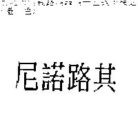 尼諾路其