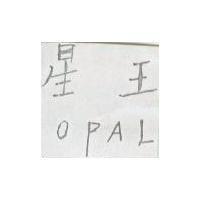星王 OPAL