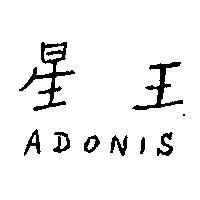 星王 ADONIS 