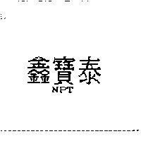 鑫寶泰 NPT