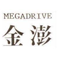 金澎 MEGADRIVE