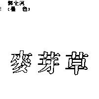 麥芽草