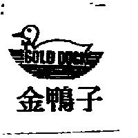 金鴨子及圖 GOLD DUCK