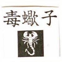 毒蠍子及圖