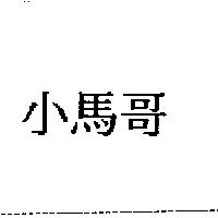 小馬哥
