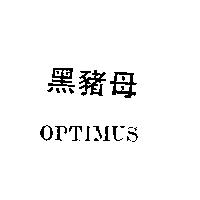黑豬母 OPTIMUS