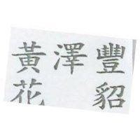 黃澤豐花貂