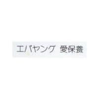 エバセソグ 愛保養