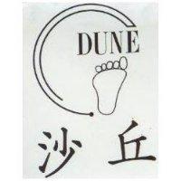 沙丘及 DUNE 圖