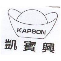凱寶興及圖 KAPSON