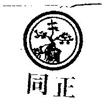 同正及圖