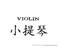 VIOLIN 小提琴