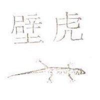 壁虎及圖