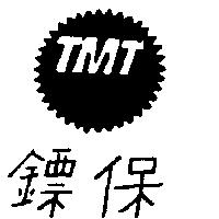 保鏢 TMT 