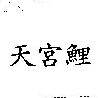 天宮鯉