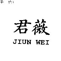 君薇 JIUN WEI