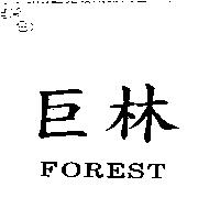 巨林 FOREST
