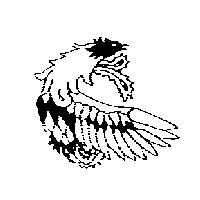 道格國際有限公司標章