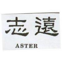 志遠 ASTER