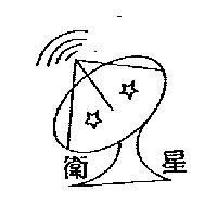 衛星及圖