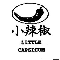 小辣椒 LITTLE CAPSICUM