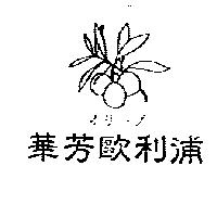 華芳歐利浦及圖オリ–ブ