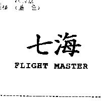 七海 FLIGHT MASTER