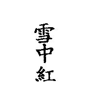 雪中紅
