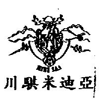 川騏米迪亞 MINI SA.T 及圖