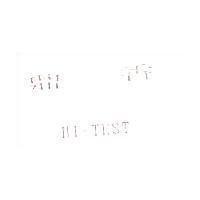 鼎香 HI-TEST