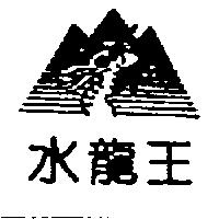 水龍王及圖形